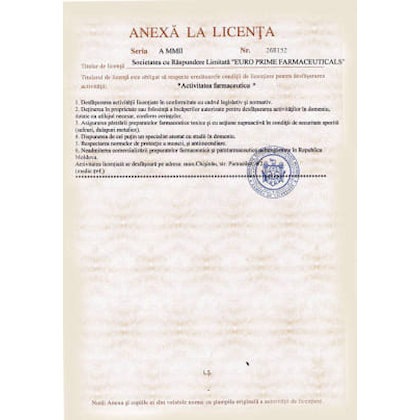 Certificate Preview