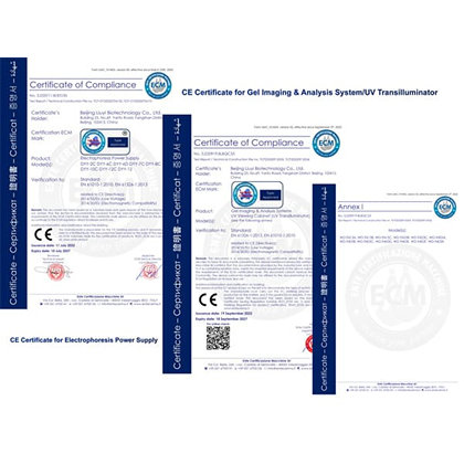 Certificate Preview
